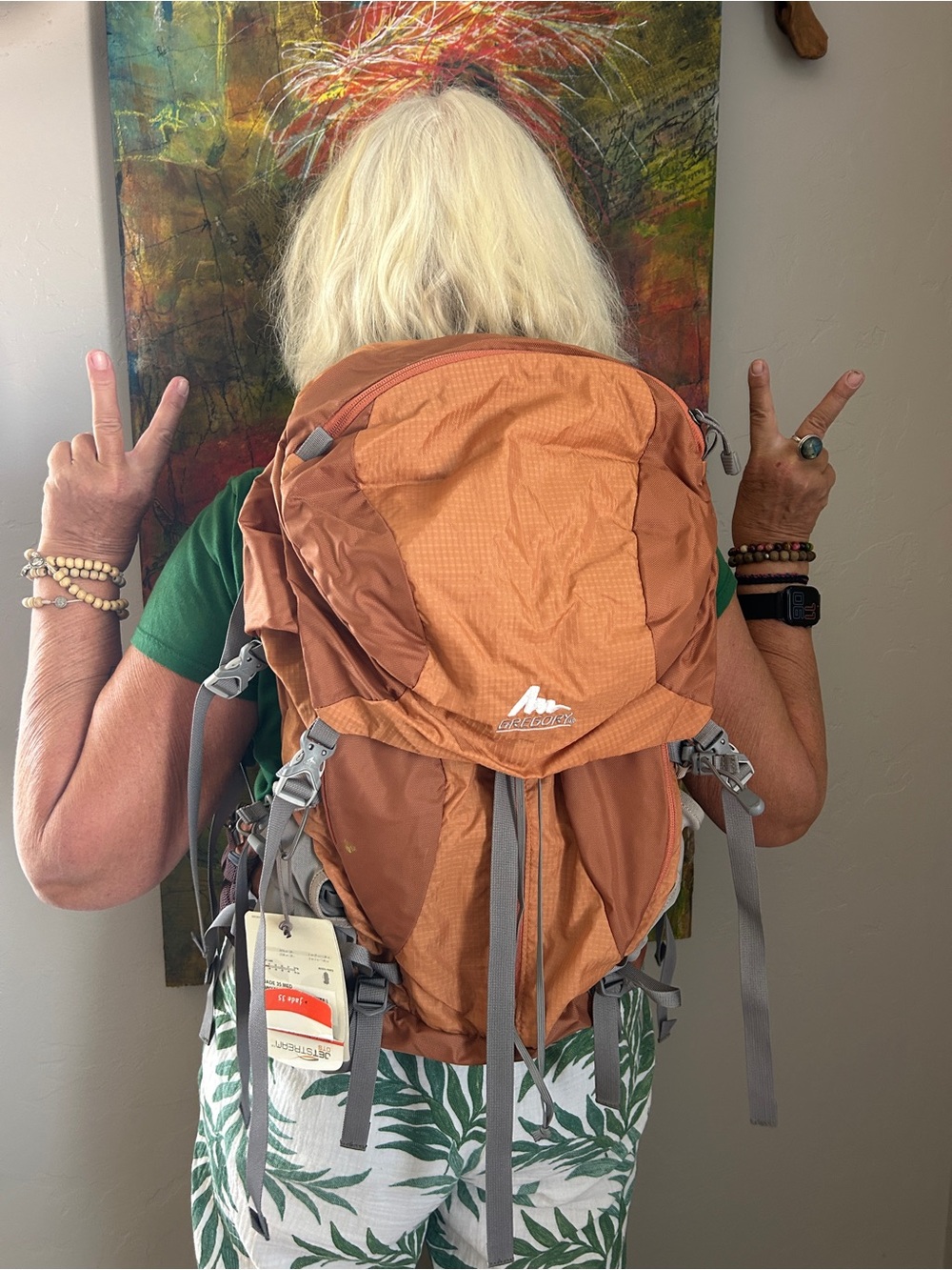 Gregory JetStream DTS Jade 35 Hiking Backpack – New with Tags - Picture 4 of 9